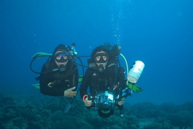 Mundo Submarino